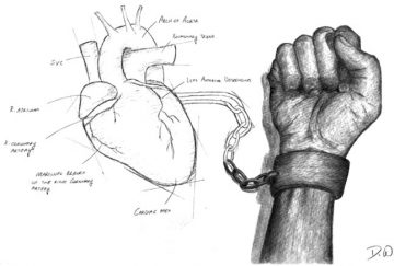 Heartfelt Images: learning cardiac science artistically.