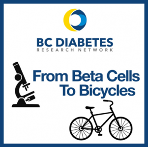 Jim Johnson talks beta cell biology on BC Diabetes Research Network podcast