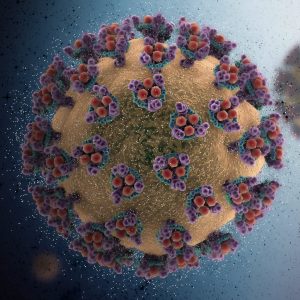 LSI researchers funded in CIHR’s COVID-19 Rapid Research competition