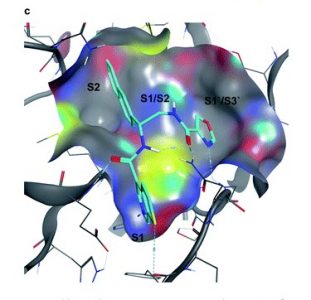 Researchers’ efforts to screen billions of antiviral drugs to find potential COVID-19 treatments relies on AI