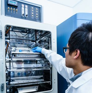 Kieffer lab diabetes research