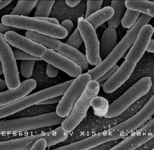 Futuristic coating for hospital fabrics and activewear kills COVID virus and E. coli