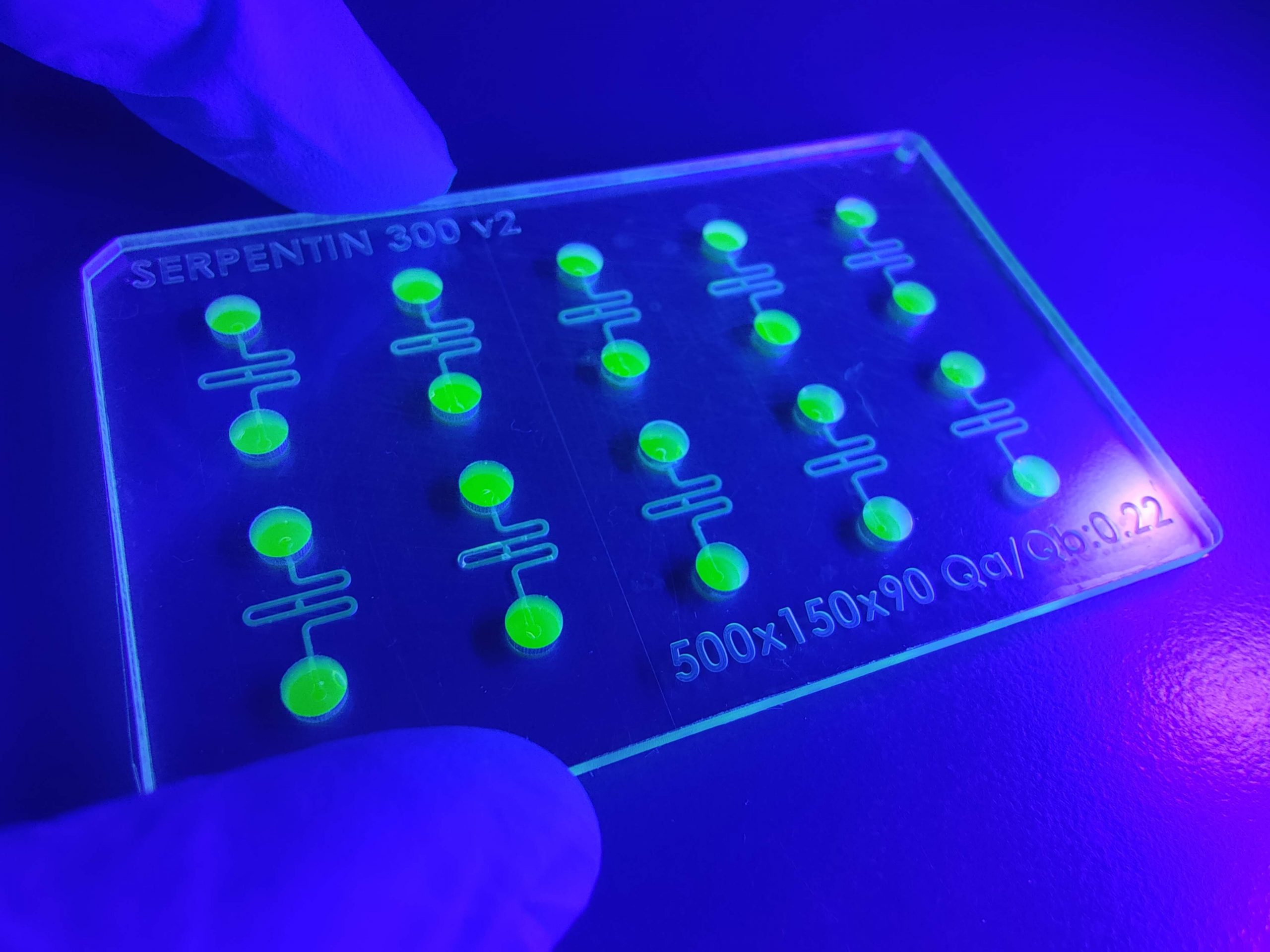 Organ on Chip model
