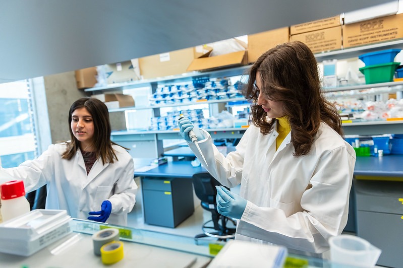 Two LSI researchers working in the lab.