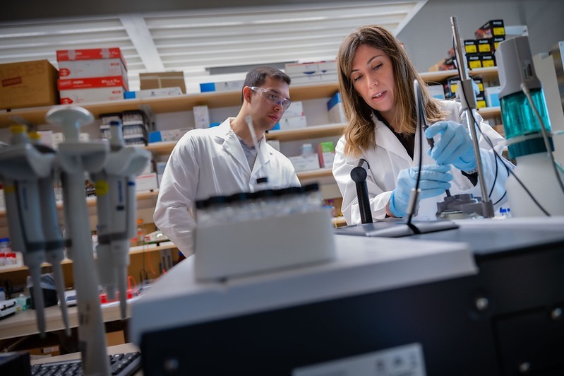 Researchers working in the lab.
