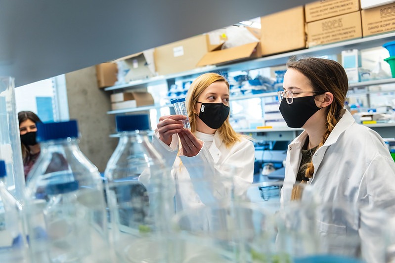 LSI scientists in the lab.