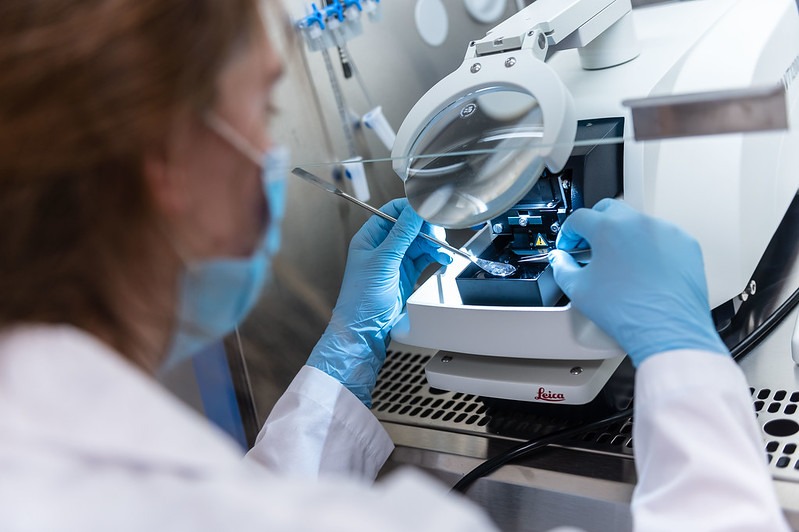 Researcher working in an LSI Lab.