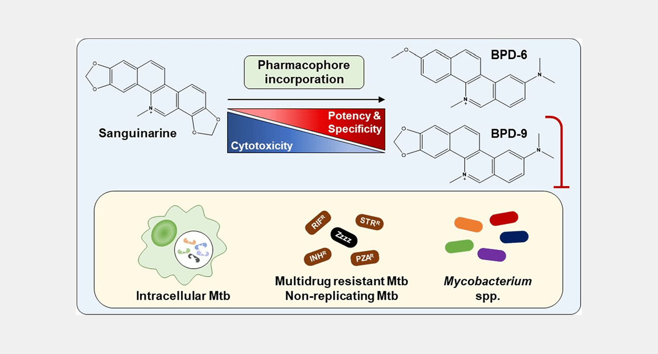 Novel antibiotic discovery against AMR pathogens